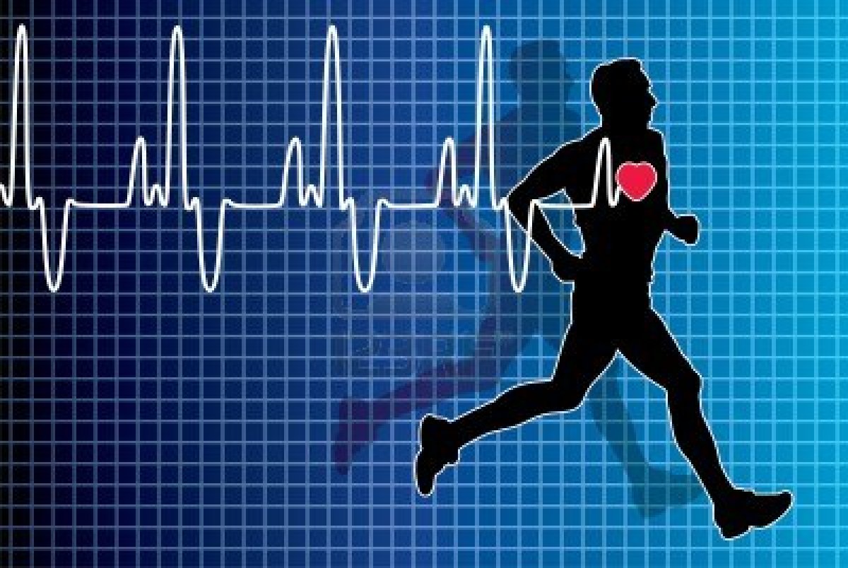 Каким образом физические нагрузки влияют на сердце?