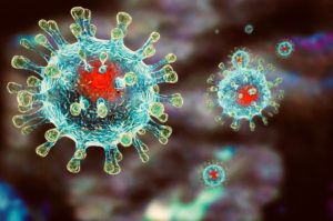 Как распространяется коронавирус?