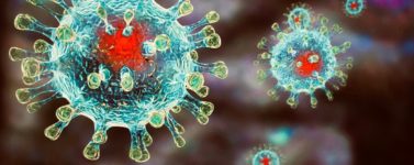 Как распространяется коронавирус?